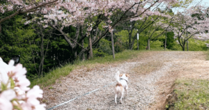 桜華園