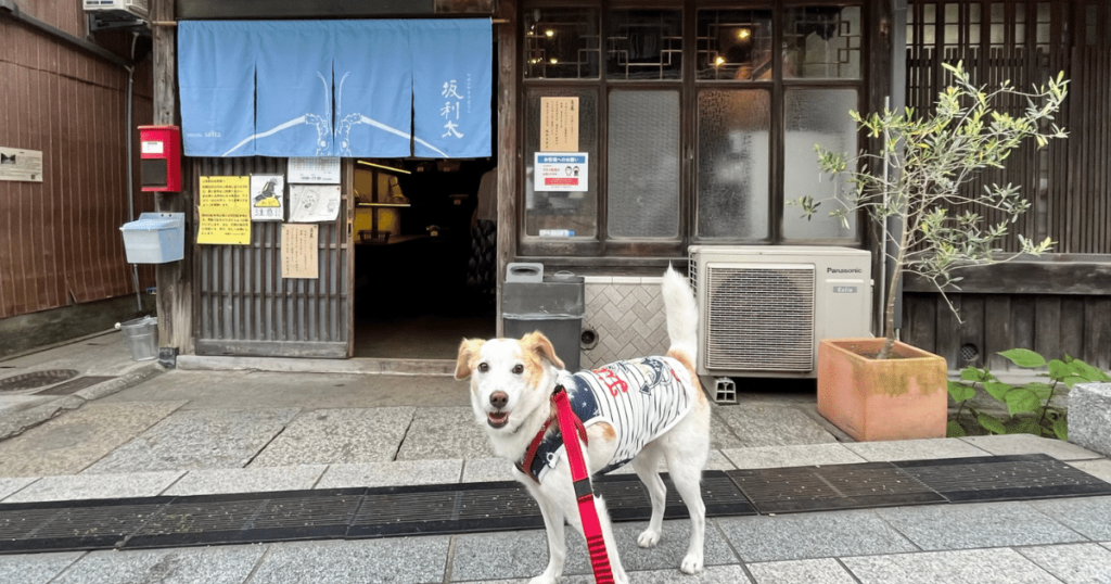 犬とおでかけドギゴー 関西のお出かけ 国内旅行そして 健康のこと