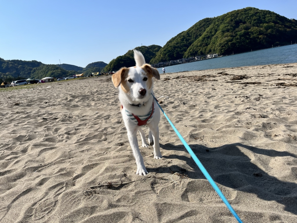 気比の浜キャンプ場