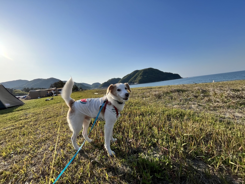 気比の浜キャンプ場