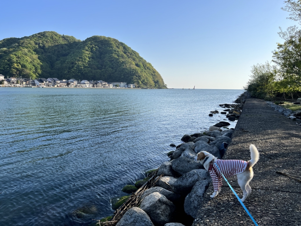 気比の浜キャンプ場