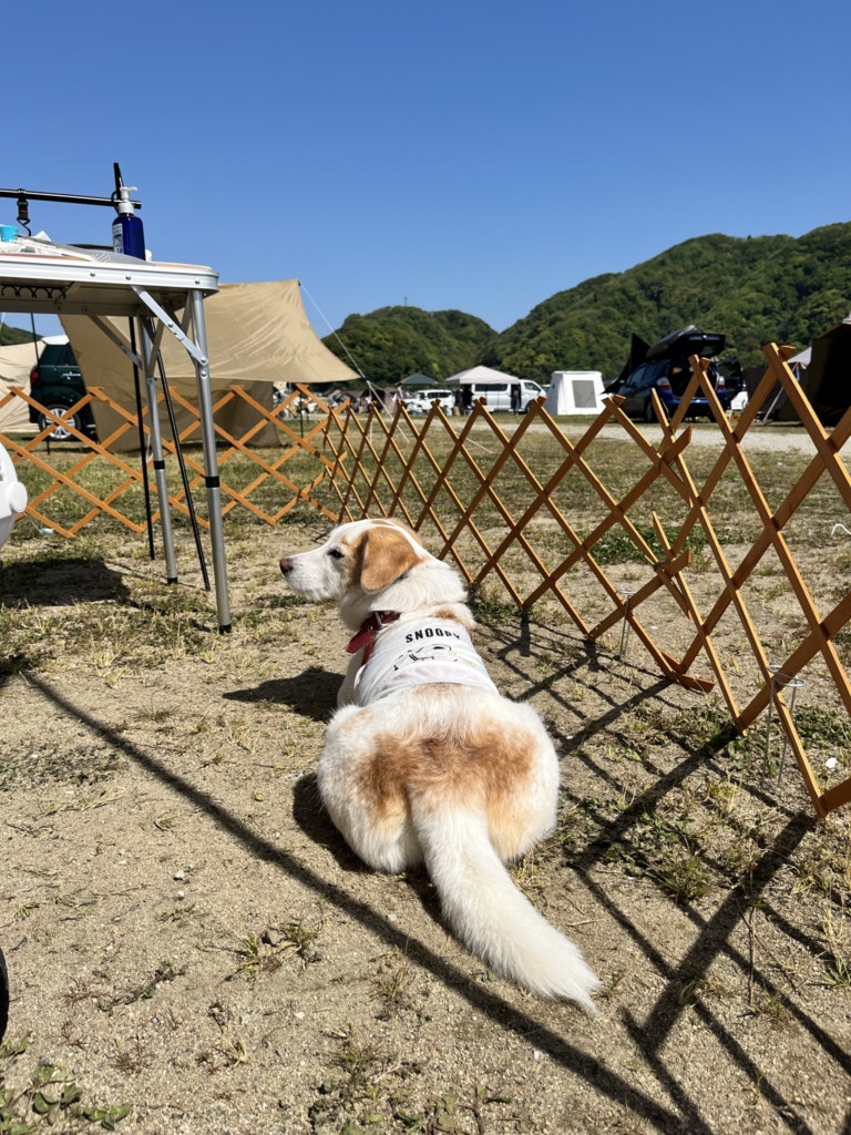 気比の浜キャンプ場