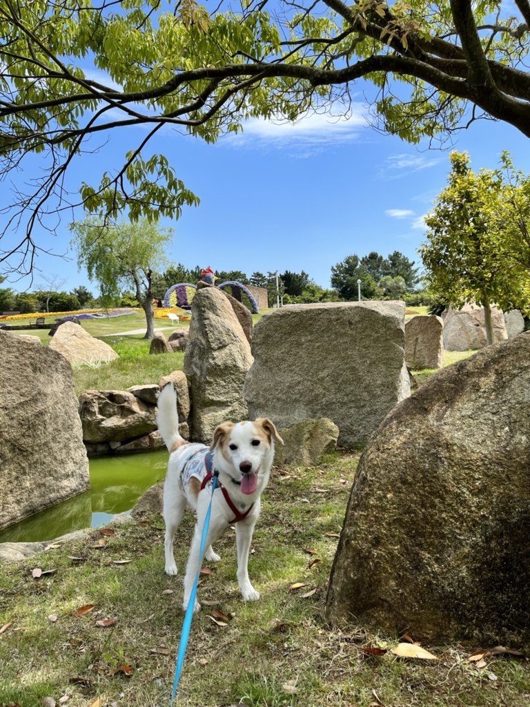 明石海峡公園