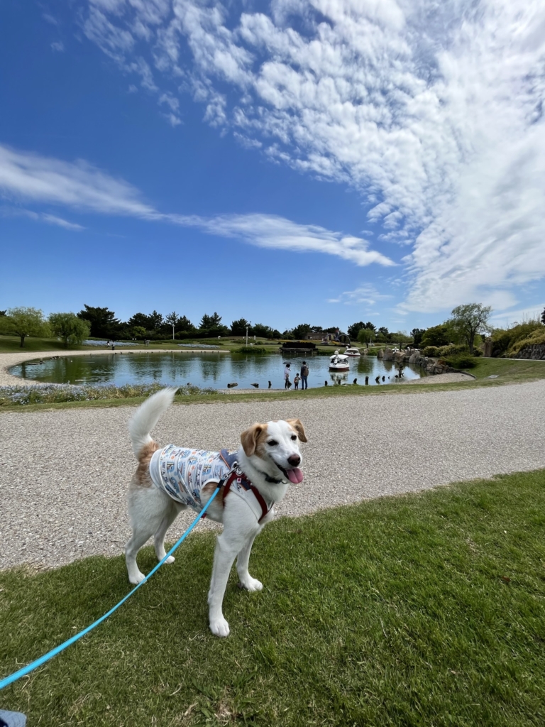 明石海峡公園