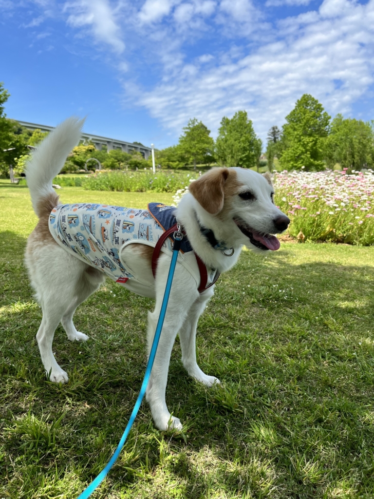 明石海峡公園