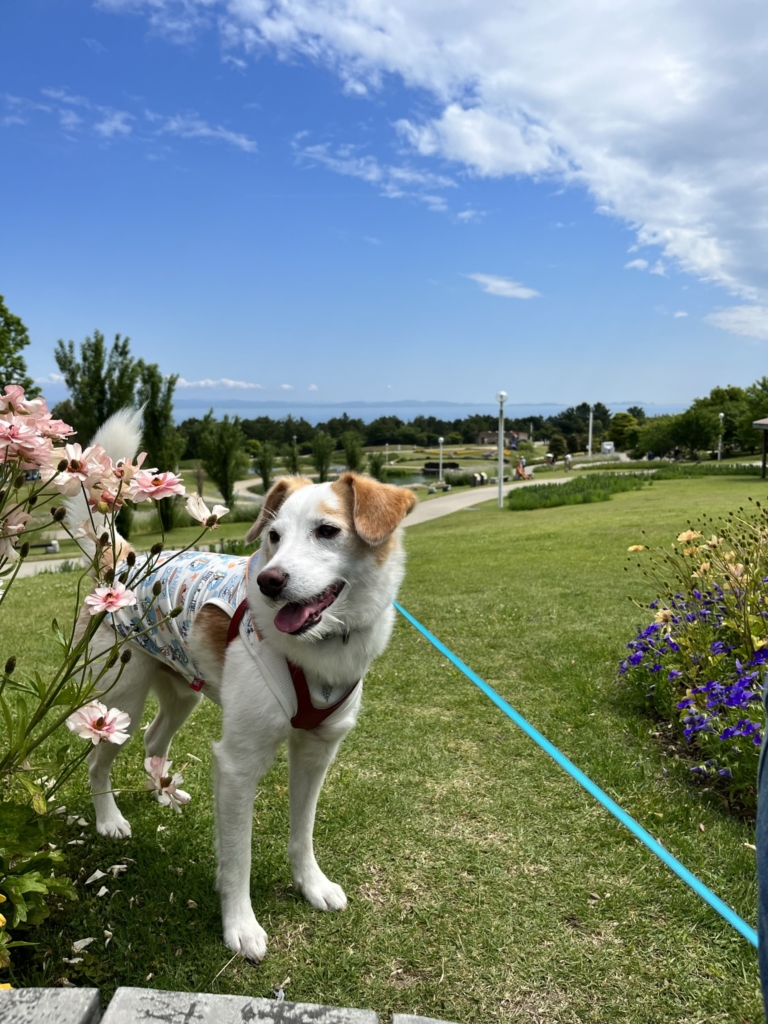 明石海峡公園