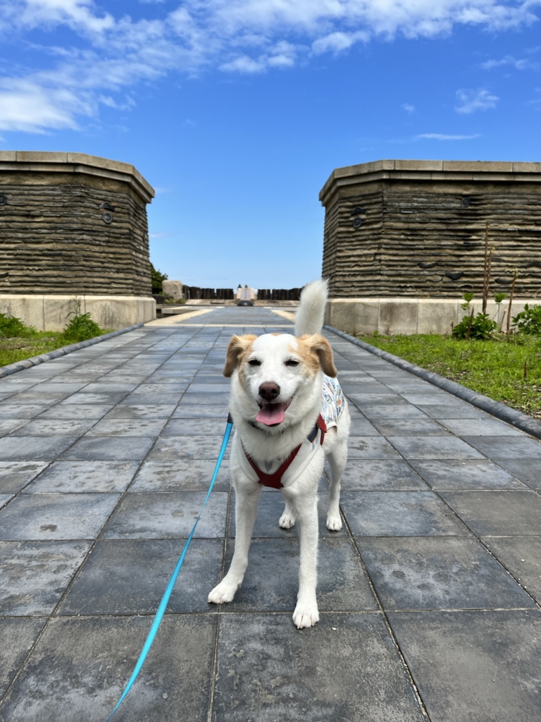 明石海峡公園