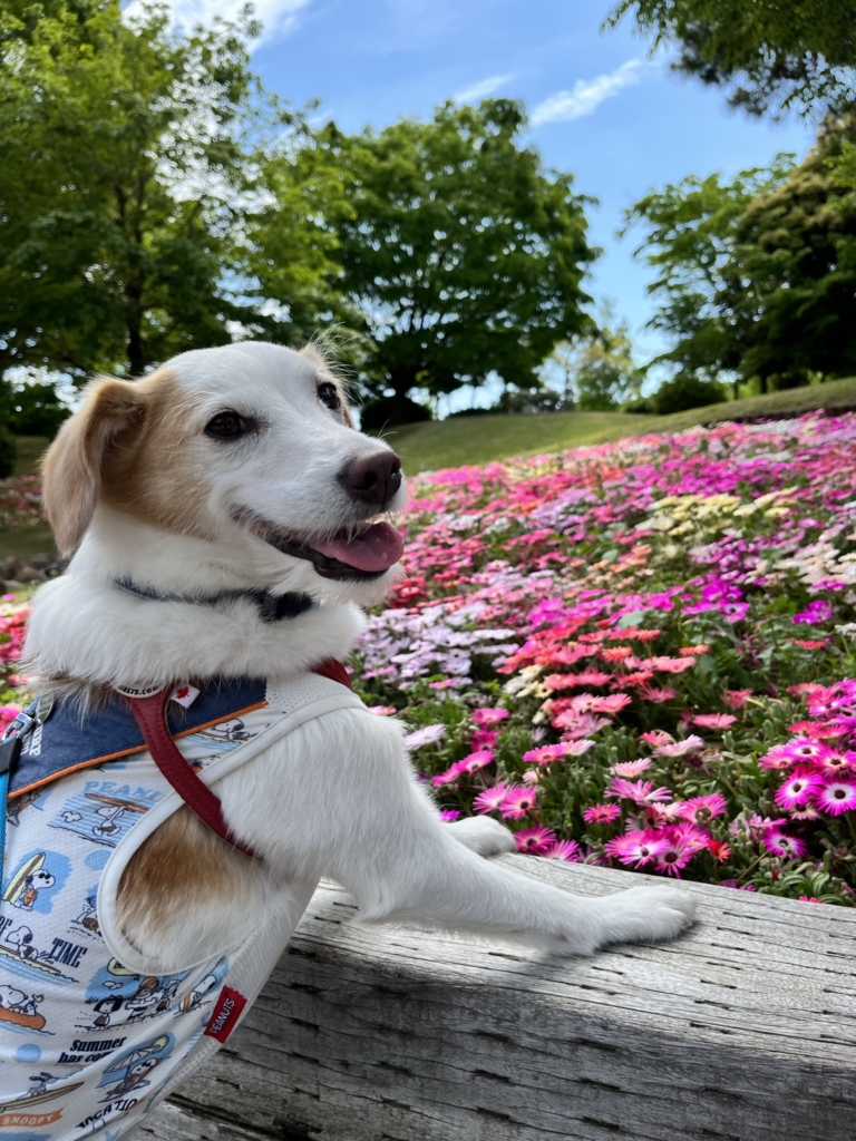 明石海峡公園