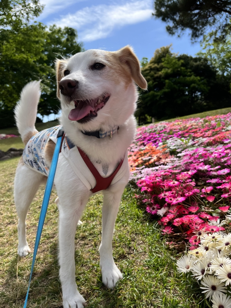 明石海峡公園