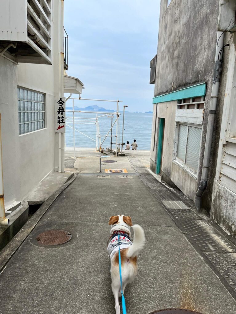 赤穂御崎海岸遊歩道