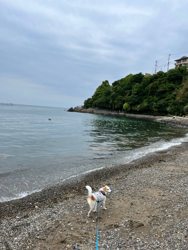 赤穂御崎海岸遊歩道