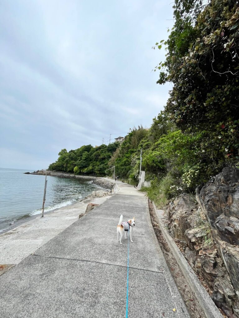 赤穂御崎海岸遊歩道