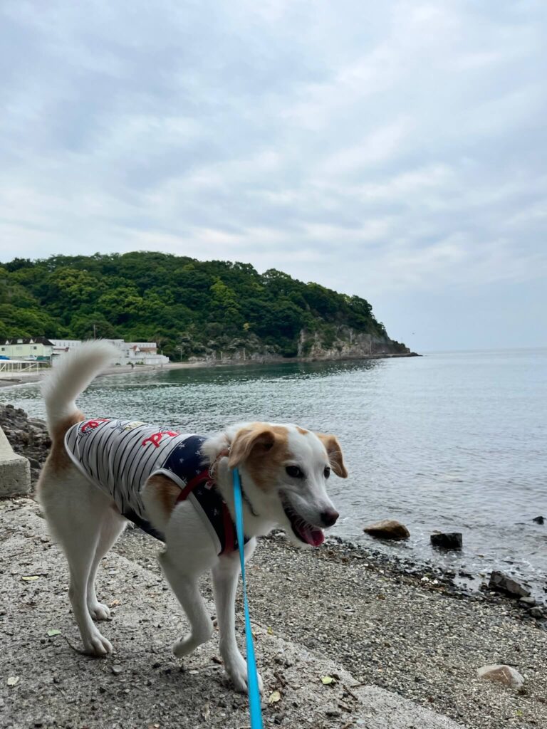 赤穂御崎海岸遊歩道