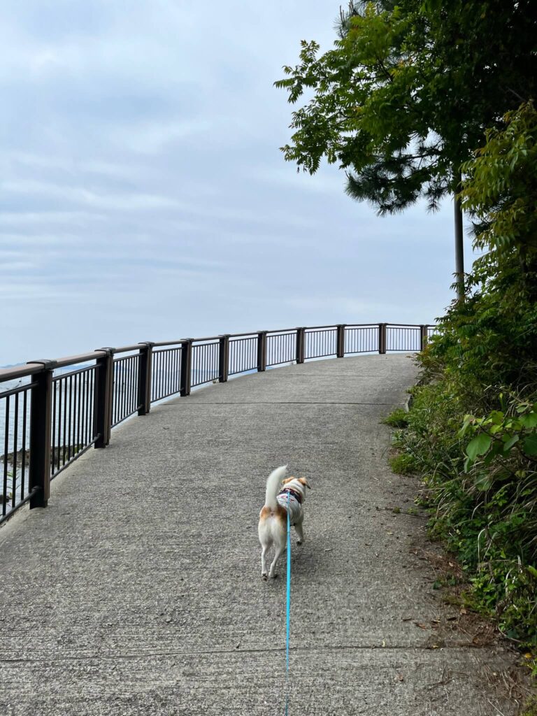 赤穂御崎海岸遊歩道