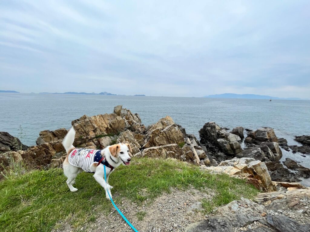 赤穂御崎海岸遊歩道