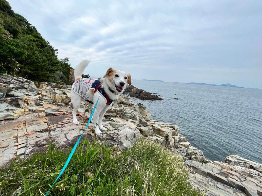 赤穂御崎海岸遊歩道