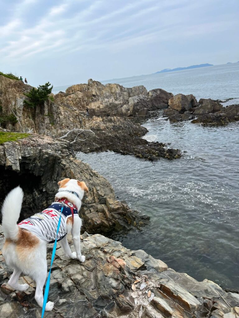 赤穂御崎海岸遊歩道