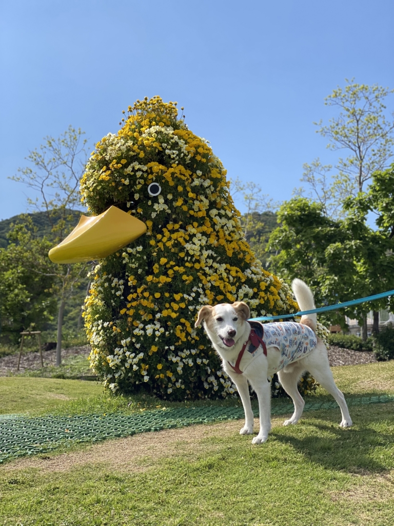 明石海峡公園