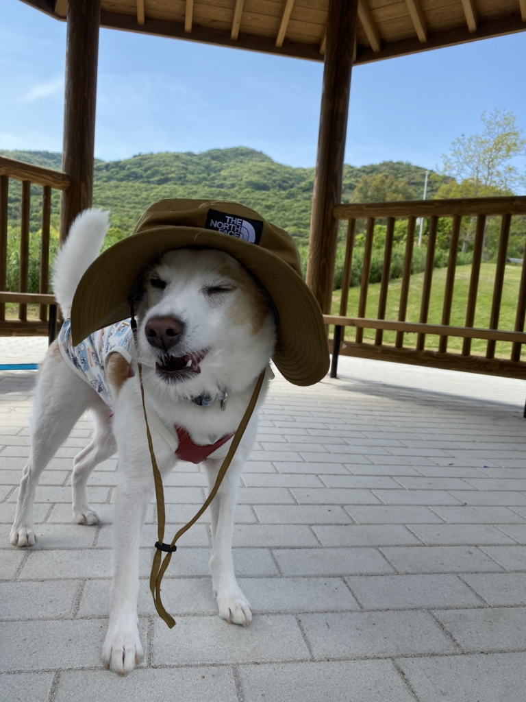 明石海峡公園