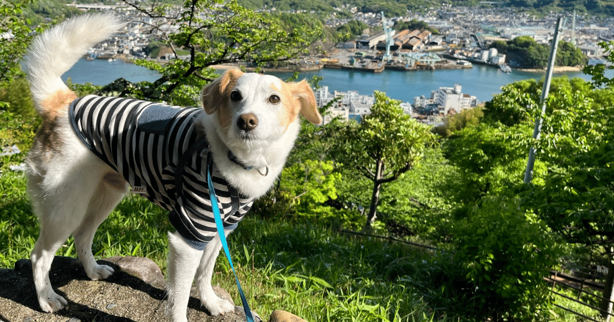 千光寺公園