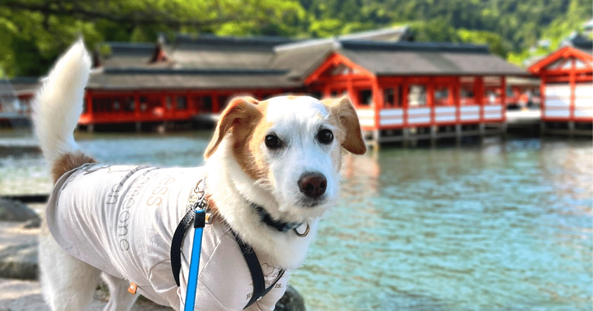 安芸の宮島