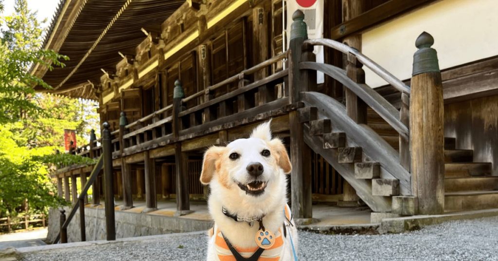 bansyukiyomizudera