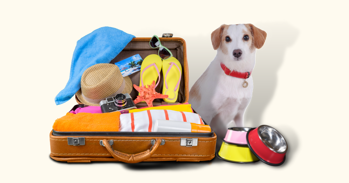 愛犬と旅行 持ち物リスト 愛犬と車で旅行するための準備をしよう 犬とおでかけドギゴー関西のお出かけ 国内旅行そして 健康のこと
