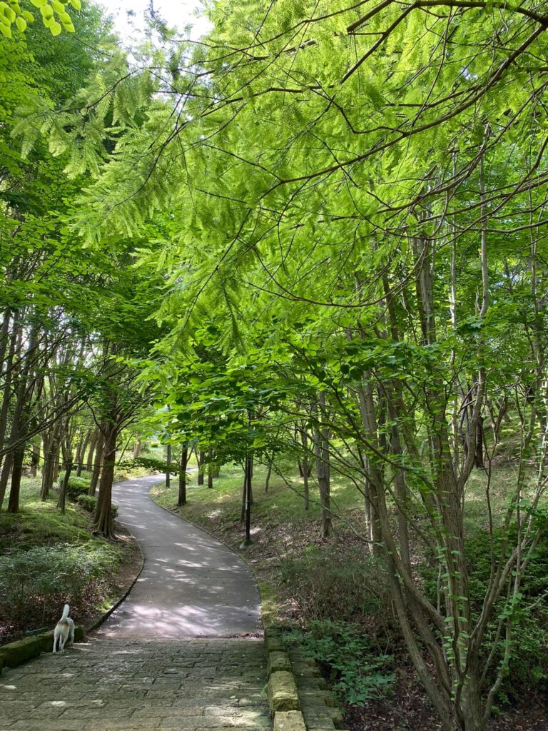 奥須磨公園