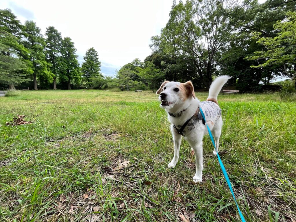 奥須磨公園