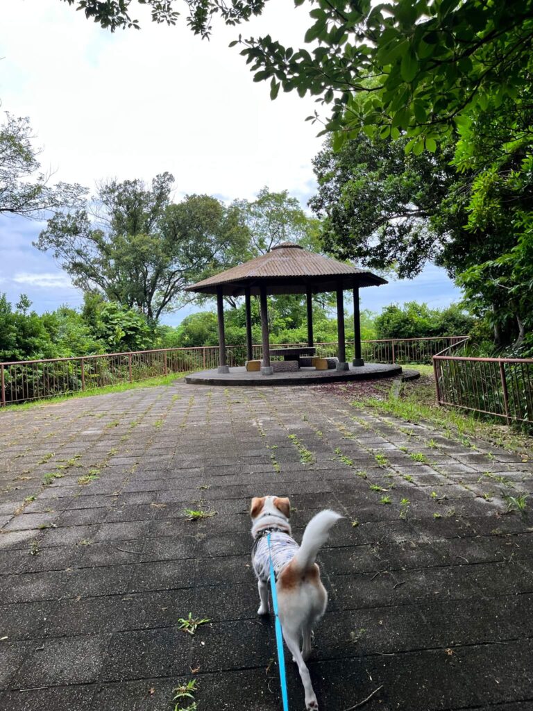 奥須磨公園