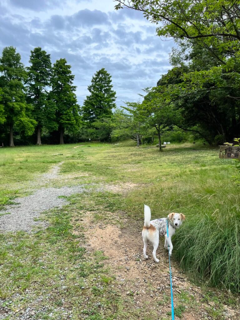 奥須磨公園