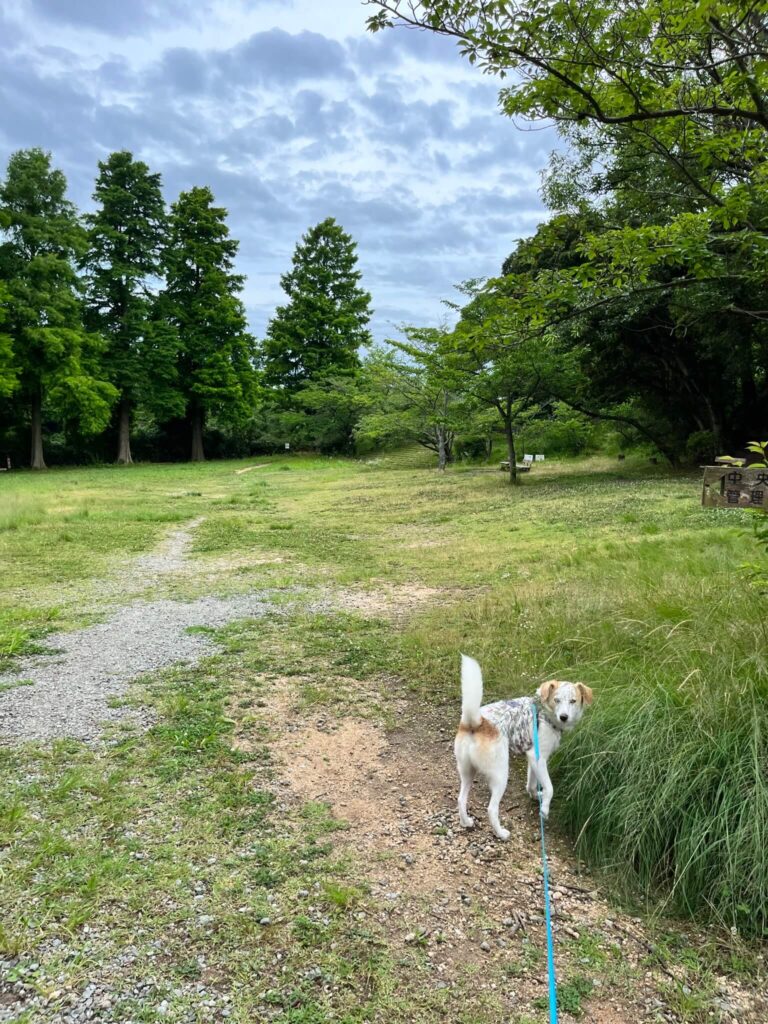 奥須磨公園