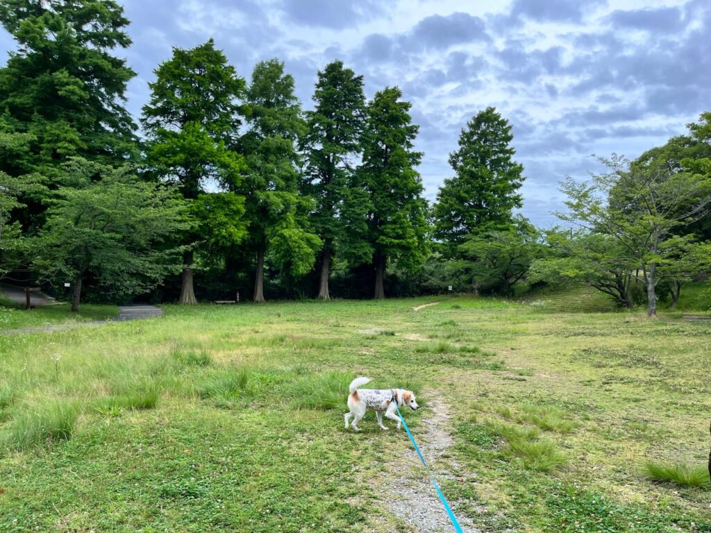 奥須磨公園