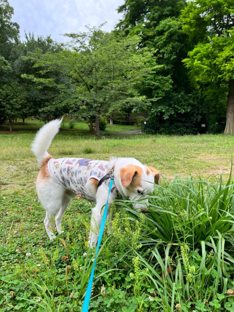 奥須磨公園