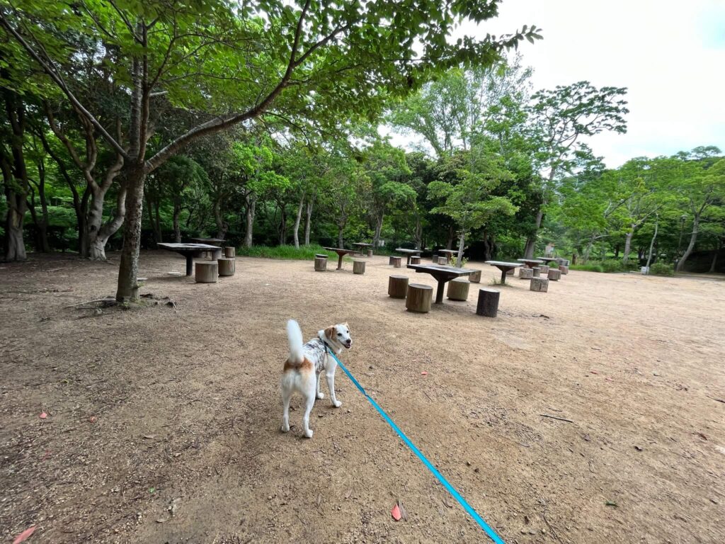 奥須磨公園