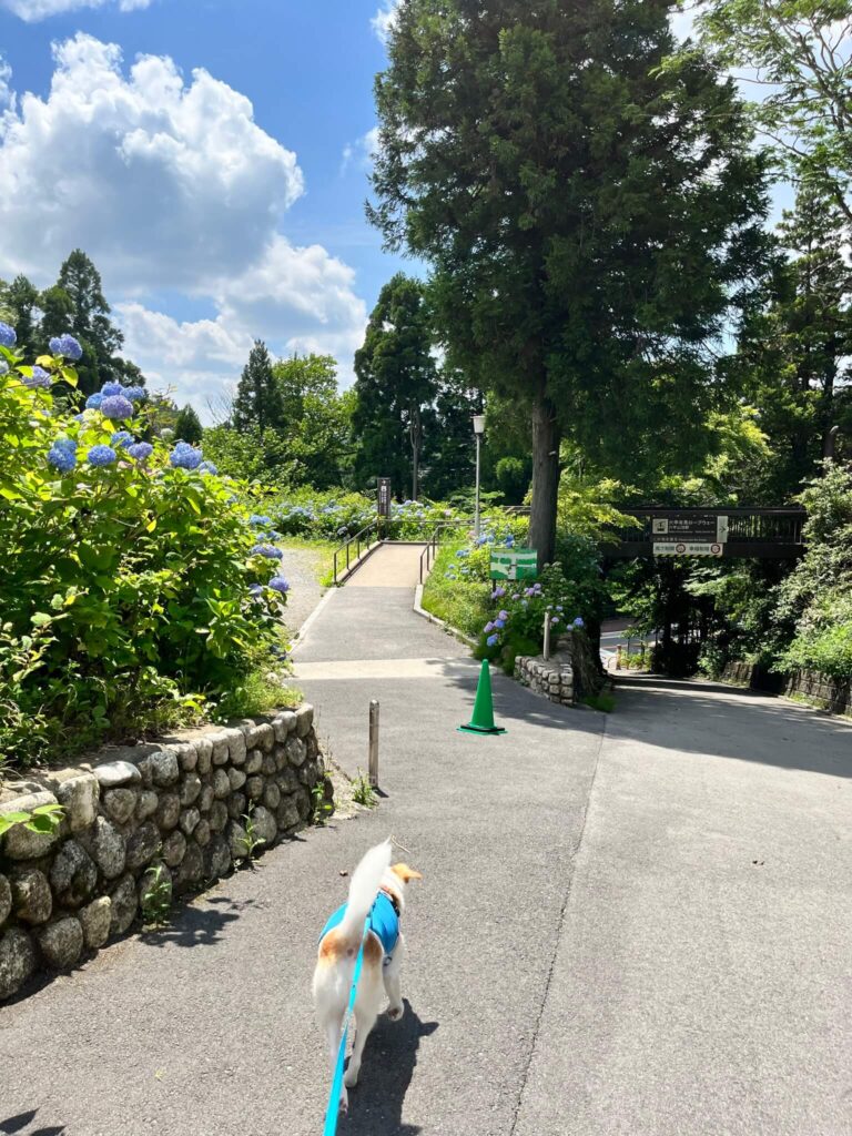 六甲山頂駅