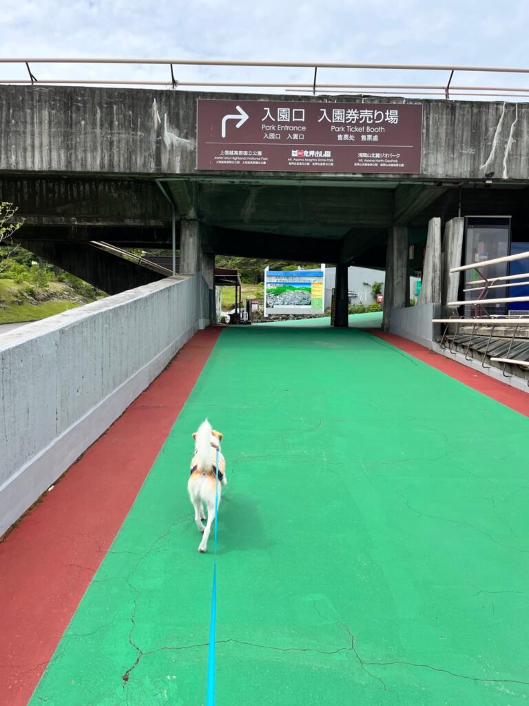 鬼押出し園犬