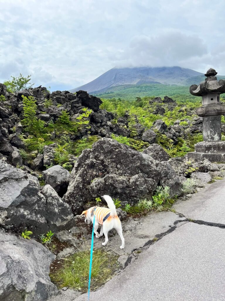 鬼押出し園