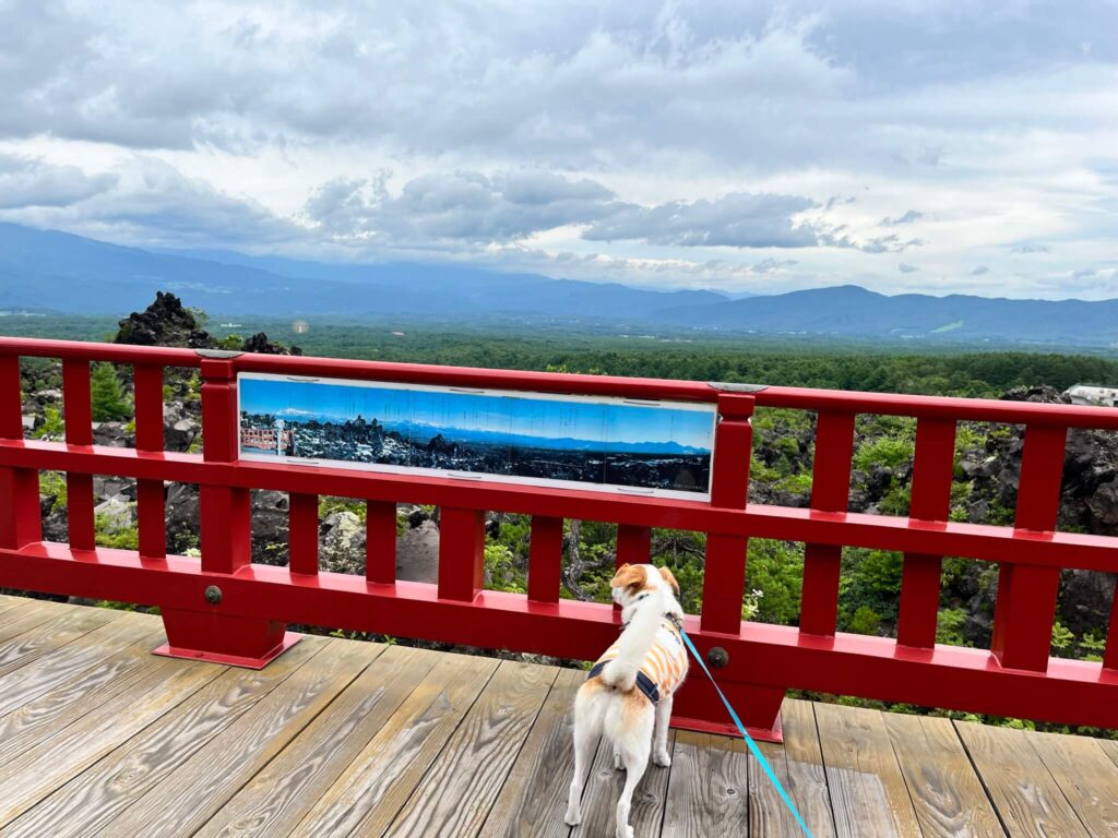 浅間山観音堂犬