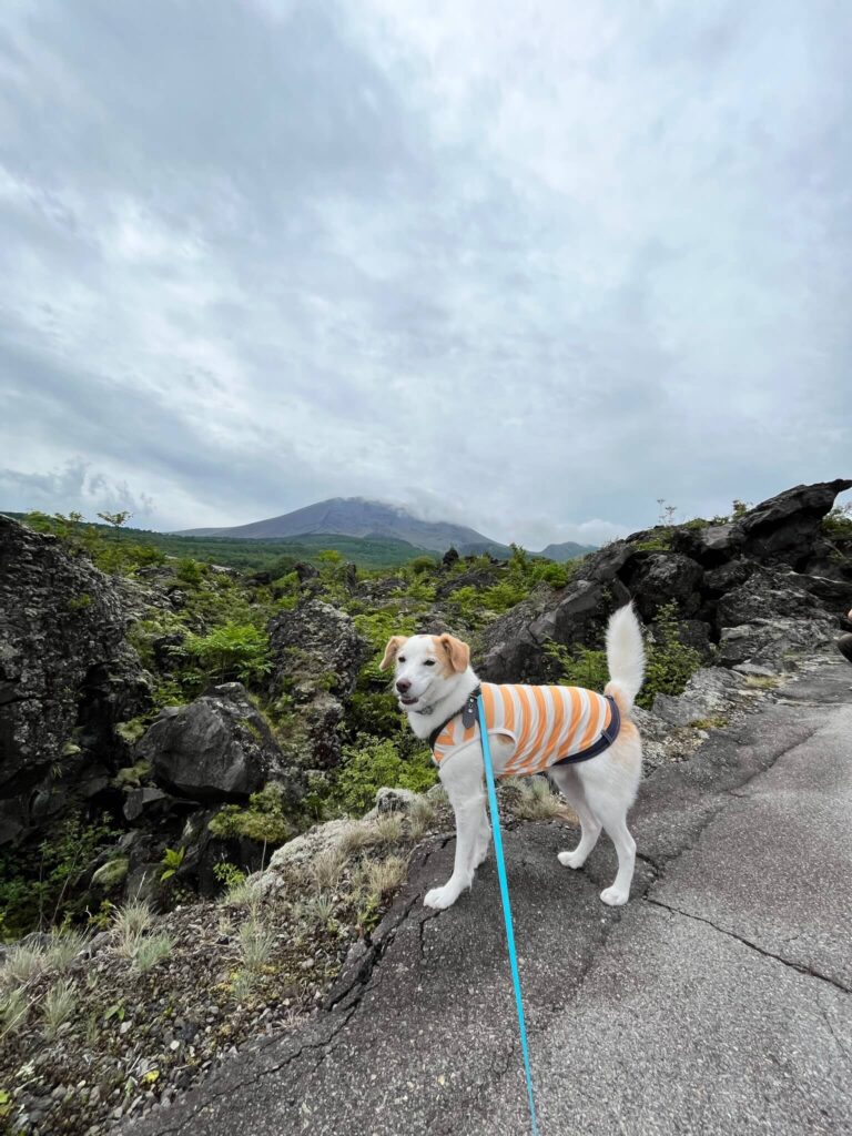 鬼押出し園