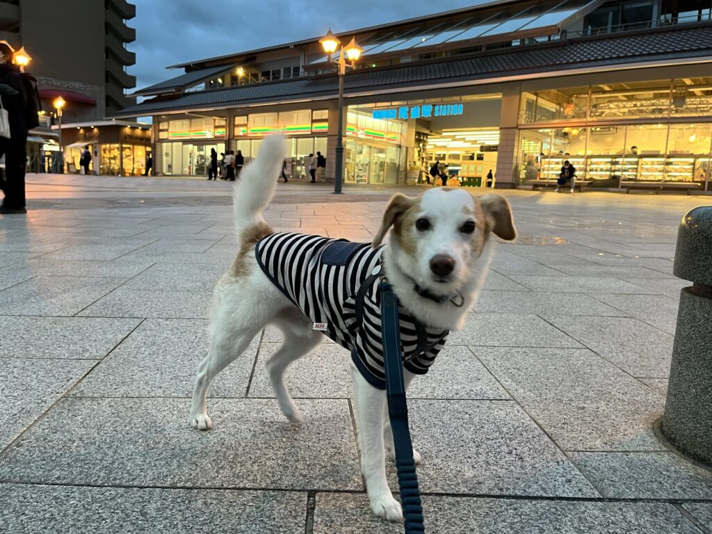 JR尾道駅