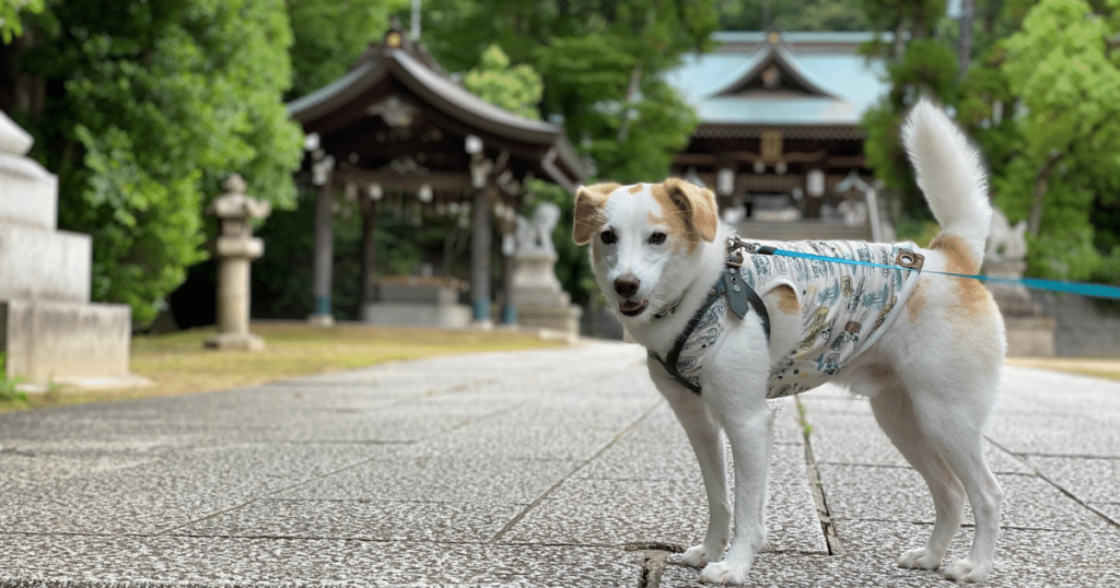 奥須磨公園_多井畑厄神