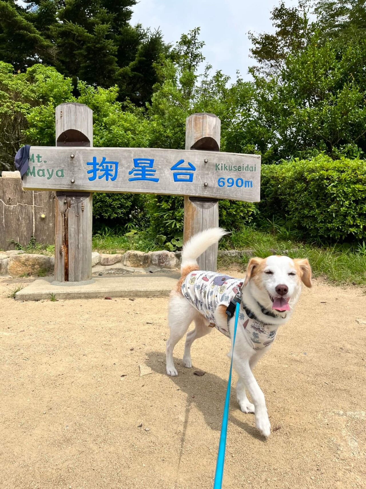 掬星台と犬