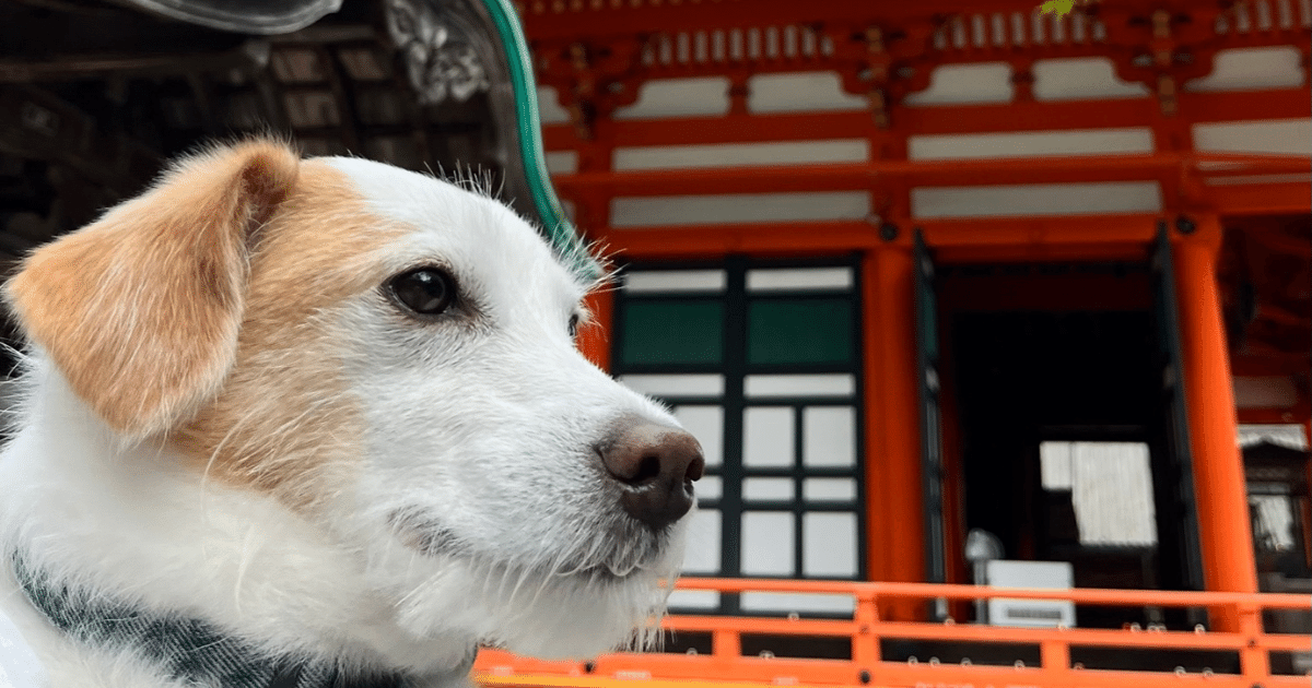 箕面勝尾寺