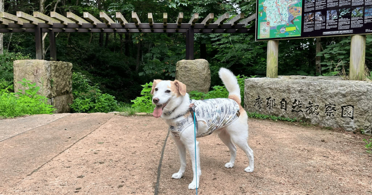 摩耶自然観察園