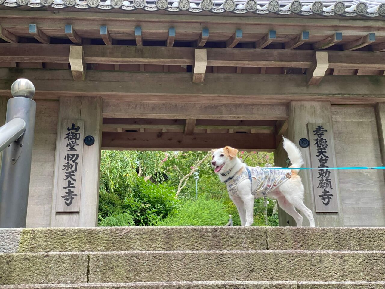 摩耶山天上寺