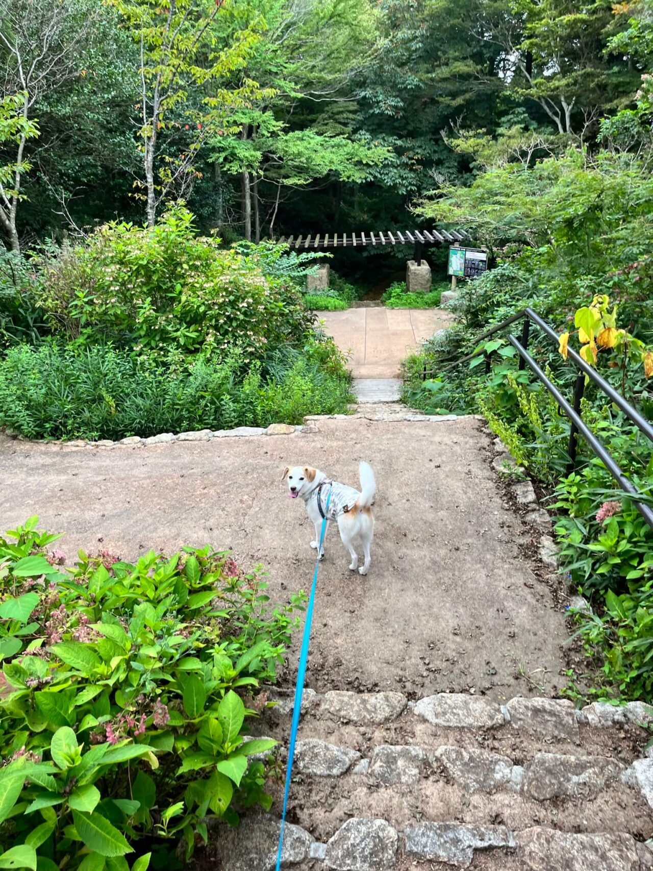 摩耶自然観察園