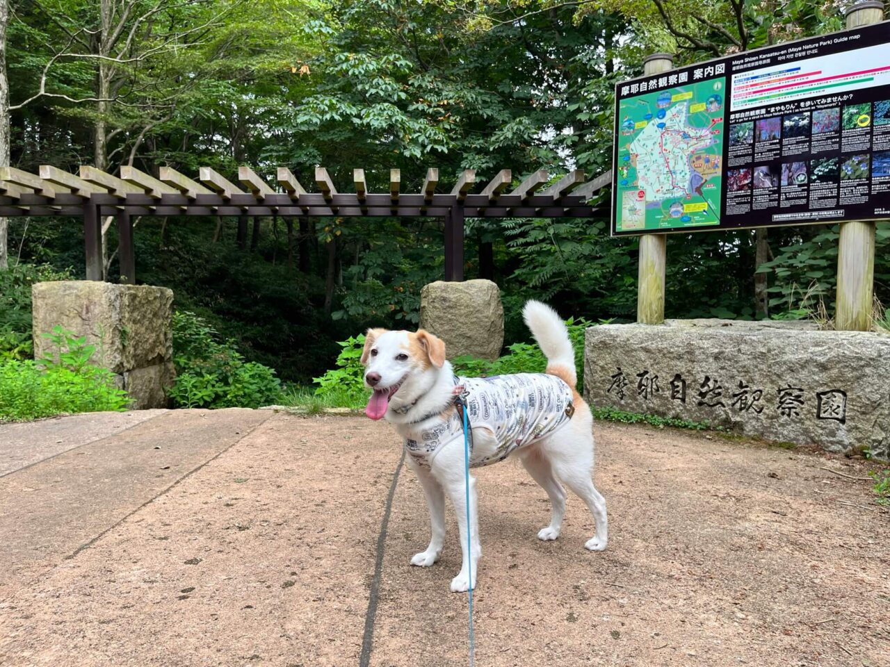 摩耶自然観察園