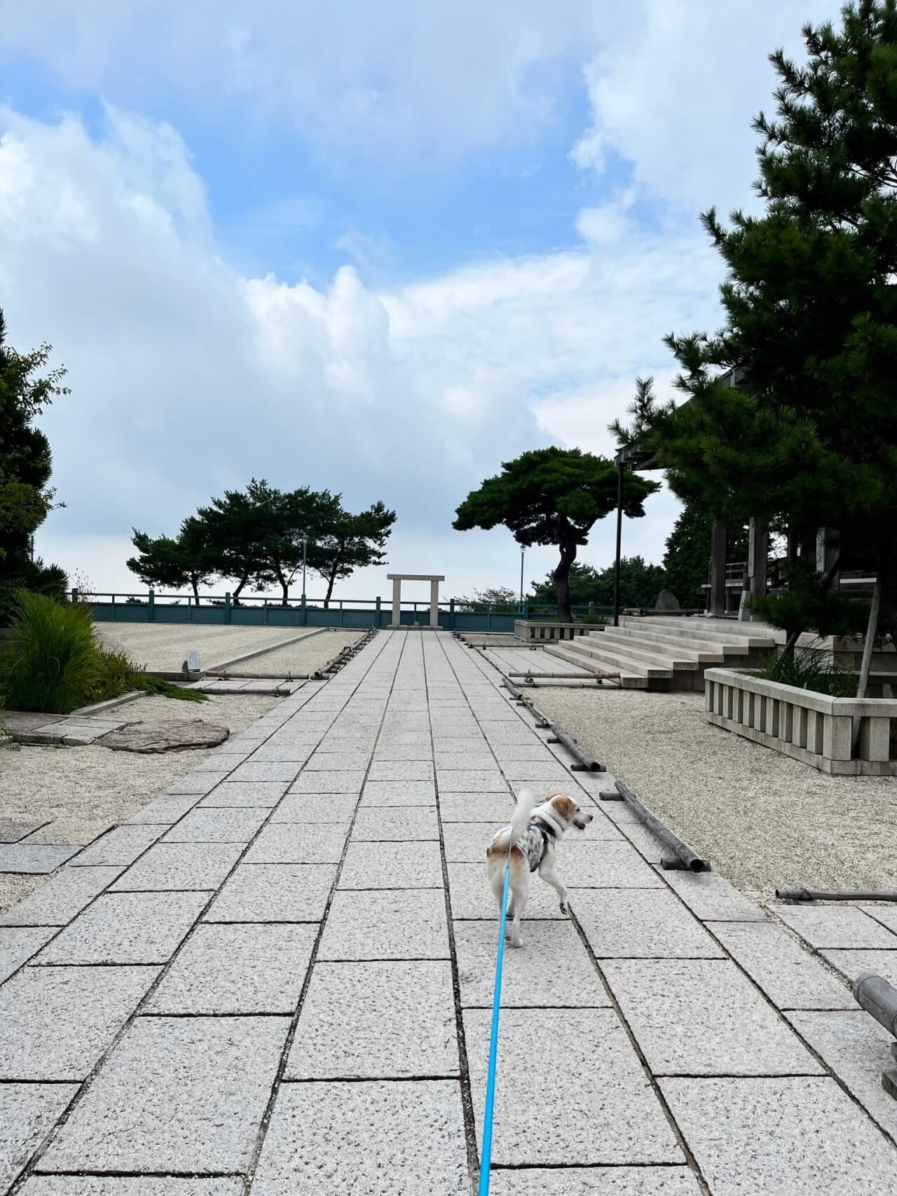 摩耶山天上寺