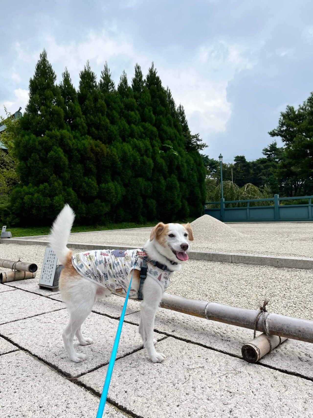 摩耶山天上寺